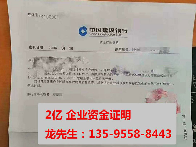 2亿建行单位资金存款证明